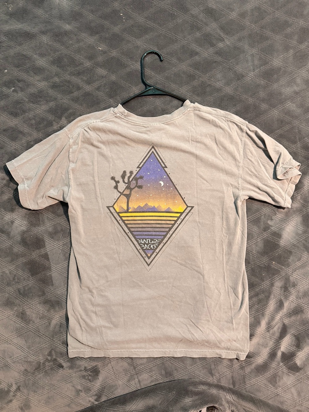 Nature Backs Graphic Tee - Gray Desert Sunset